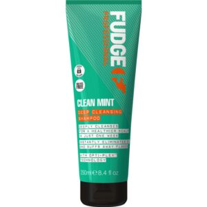 Fudge Clean Mint Deep Cleansing Shampoo 250 ml