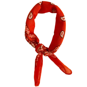 By Stær FIE Scarf - Orange
