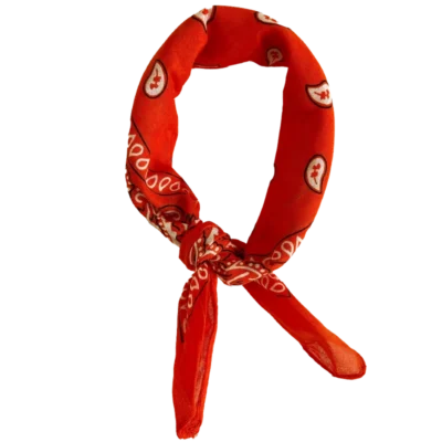 By Stær FIE Scarf - Orange